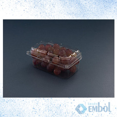 EMBALAGEM PET GALVANOTEK GF502 P/ FRUTAS 400G C/500
