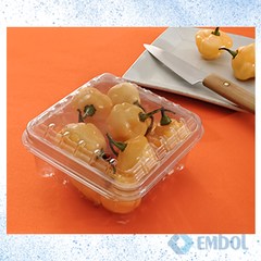 EMBALAGEM PET GALVANOTEK GF06 P/ FRUTAS C/400